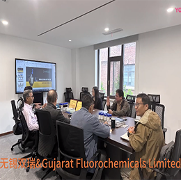 歡迎印度Gujarat Fluorochemicals Limited公司訪問無(wú)錫雙瑞